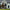 Venice Southern Limestone - Corners - Prestige Stone - 8 Ln ft/box