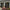 Buck Country Weatherledge - Corners - Prestige Stone - 8 Ln ft/box