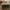 Desert Hollow Weatherledge - Corners - Prestige Stone - 8 Ln ft/box