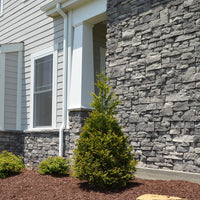 Portland Dusk Old County Ledge - Flats - Prestige Stone - 12 sq ft/box